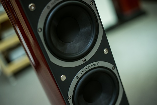 Audio Vector speakers